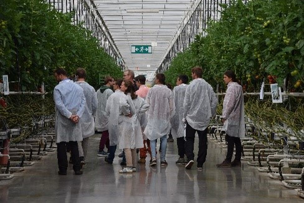 Bild 2 Gemüsebau Steiner