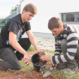 Berufsvorbereitung BVJ