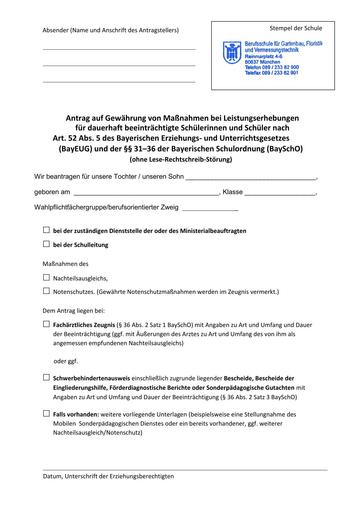 Antrag NTA nichtLRS VorlagemS